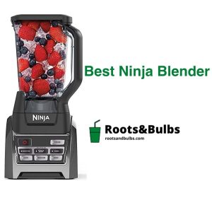Best Ninja Blender