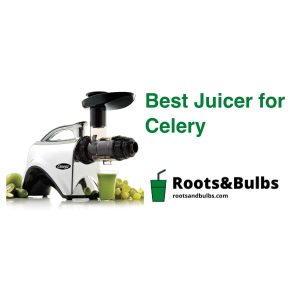 Best Juicer For Celery