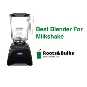 Best Milkshake Blender