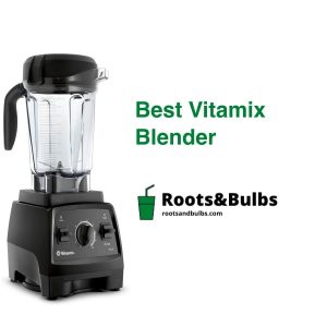 Best Vitamix Blender
