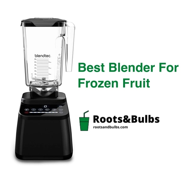 best personal blender for frozen fruit smoothies