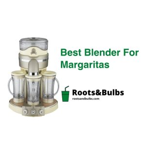 Best Margaritas Blender