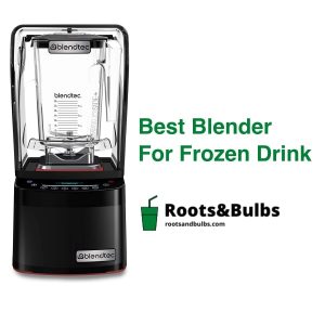 Best Blender For Frozen Drink & Crushing Ice