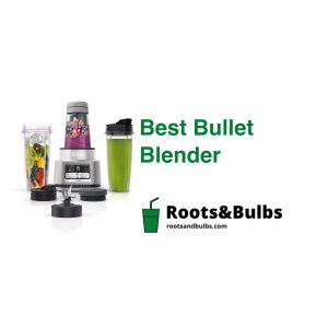 Best Bullet Blender
