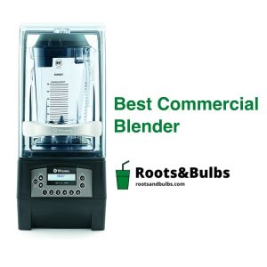 Best Commercial Blender