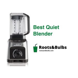 Best Quiet Blenders