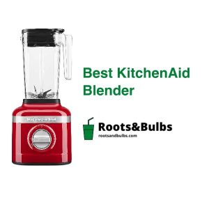 Best Kitchenaid Blenders