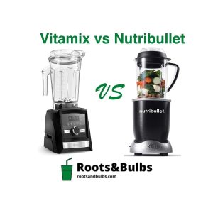 Vitamix vs Nutribullet